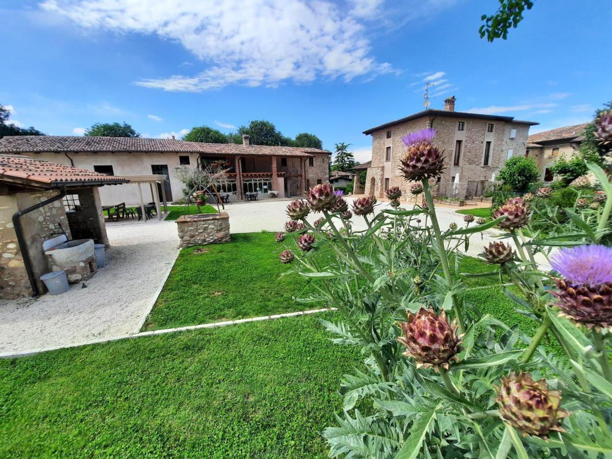Corte Davini Agriturismo Monzambano Exterior foto